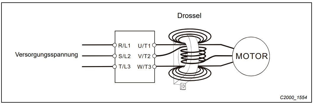 Eine_Drossel_(1)